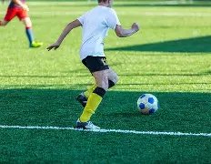 爱德华兹狂,森林狼轻松,横扫太阳,雪缘园足球比分,雪缘园比分官网,雪缘园体育,雪缘园网页版,雪缘园app下载电脑版