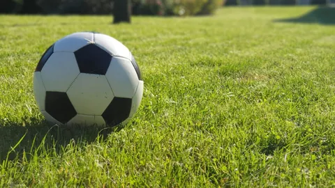 塔图姆33分8板9助闪耀，绿军击败森林狼，华子高效贡献15分