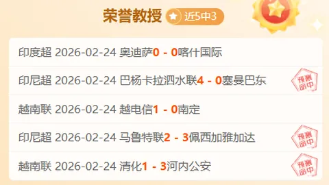 花湖机场新春佳节，浓情年味激情飞扬